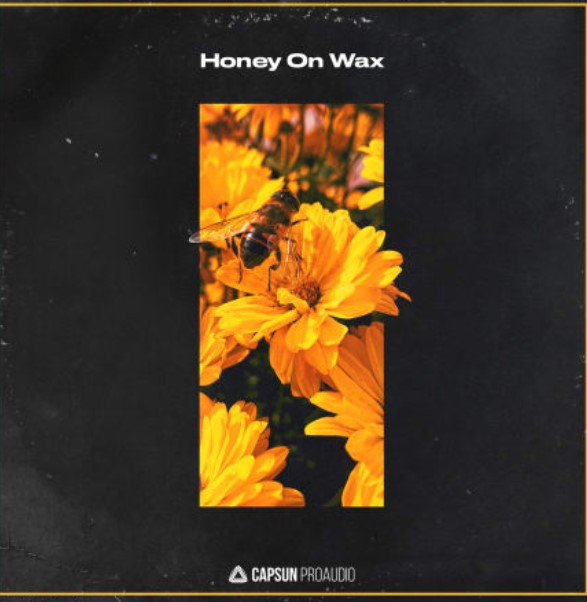 Capsun ProAudio Honey On Wax