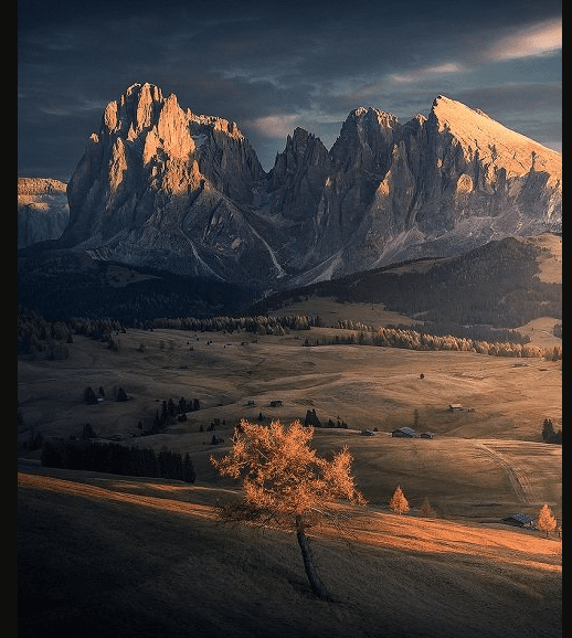 Max Rive Tutorials Bundle