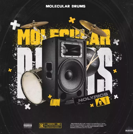 nolyrics MOLECULAR DRUMS