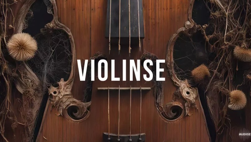 Steinberg Violinse for Padshop 2