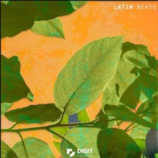 Digit Sounds Latin Beats