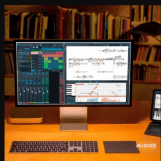 Steinberg Dorico Pro v6.0.10