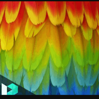 Gumroad – Levelup Digital – Feather Creation | Romain Lemaire