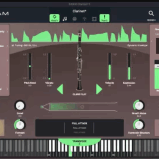 Audio Modeling SWAM Solo Woodwinds V3