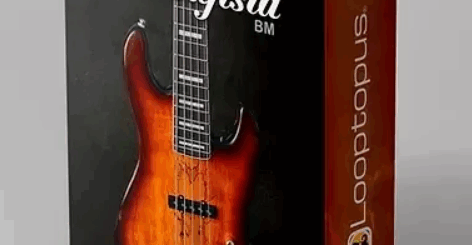 Looptopus El Bajista v1.0.1