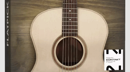 Orange Tree Samples Evolution Flatpick 6 v1.3.0 KONTAKT