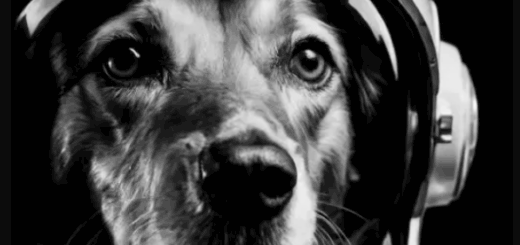 Imaginando VS Raw Reflections by Perplex On