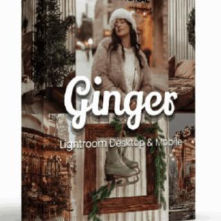 3dMotional – 30 Ginger Lightroom and Lut Bundle