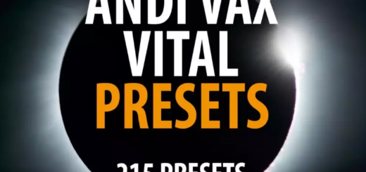 Andi Vax Andi Vax VITAL Bank - 215 Presets VITAL PRESETS