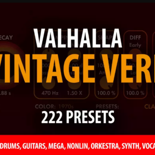Andi Vax Valhalla Vintage Verb - 222 Presets VALHALLA VINTAGE VERB PRESETS