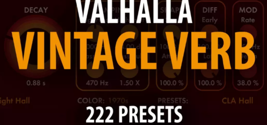 Andi Vax Valhalla Vintage Verb - 222 Presets VALHALLA VINTAGE VERB PRESETS