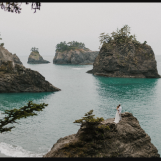 Carley Mae – Jade Pack Presets (Desktop Presets)