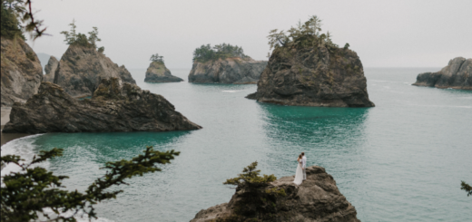 Carley Mae – Jade Pack Presets (Desktop Presets)