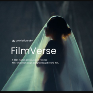 Colorist Foundry – FilmVerse Full Plugin V2.1 for Davinci Resolve
