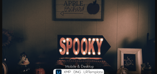 DesignBundles – Spooky Halloween Preset