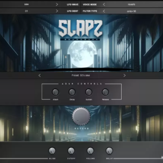 Diamond Loopz Slapz 2