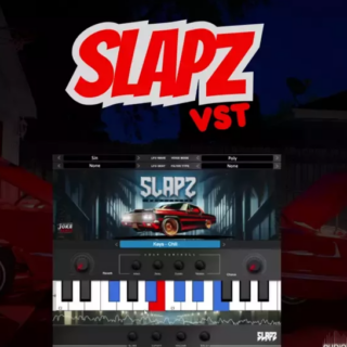 Diamond Loopz Slapz VST v1.0