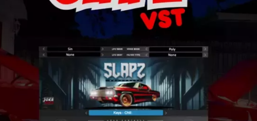 Diamond Loopz Slapz VST v1.0