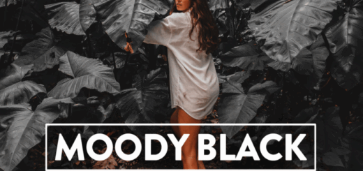 FilterGrade – 10 Moody Black Lightroom Preset