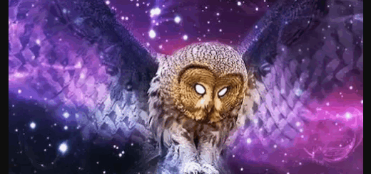 Innovation Sounds Euphoria Solardo Style Ableton 10 Template