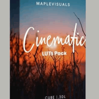 MapleVisuals – 12 Cinematic LUTs Pack