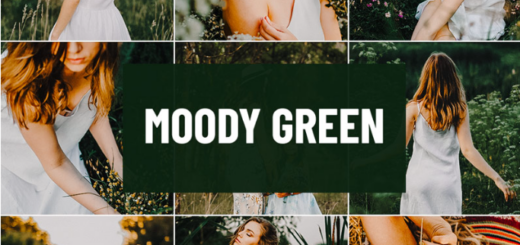 Psd Stack – Moody Green Lightroom Preset
