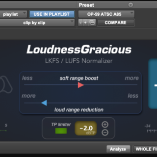 Quiet Art Loudness Gracious v1.0.0