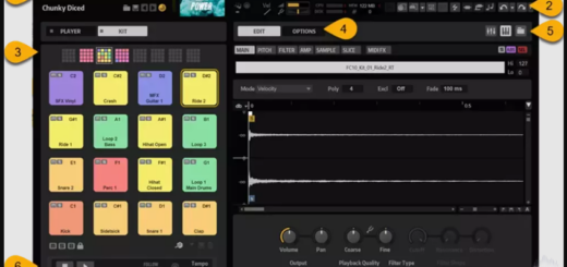 Steinberg Groove Agent SE 6 Content