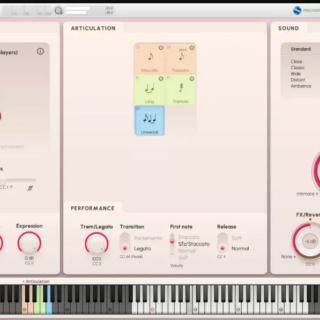 VSL Synchron Prime Strings I v1.1 for Synchron Player