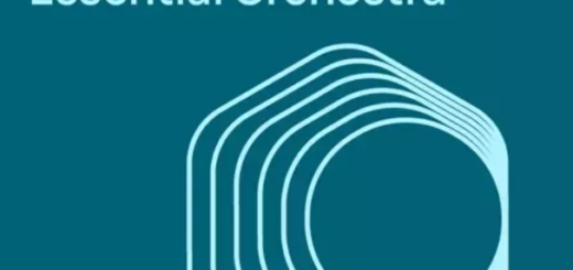 VSL Vienna Symphonic Library Studio Special Edition Vol. 1 for Synchron Player