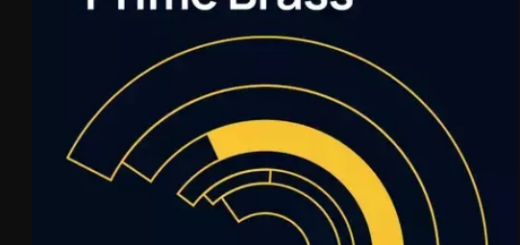 Vienna Symphonic Library - VSL Synchron Prime Brass (VSL Synchron Player)