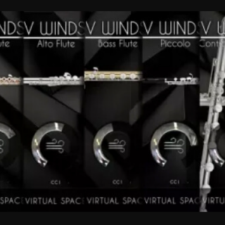 Acousticsamples VWinds Clarinets v2.0 for UVI Workstation