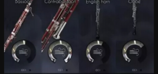 Acousticsamples VWinds Double Reeds v2.0 for UVI Workstation