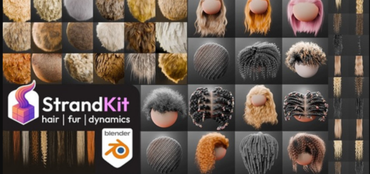 Blender – Strandkit The Hair