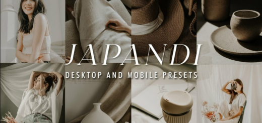 FilterGrade – 25 JAPANDI Lightroom Presets