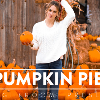 FilterGrade – PUMPKIN PIE Lightroom Mobile and Desktop Presets