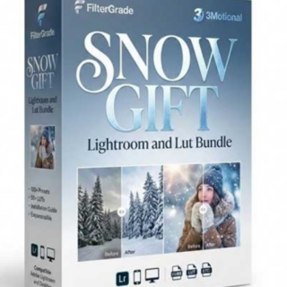 FilterGrade – Snow Gift Lightroom and Lut Bundle