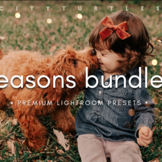 Filtergrade – THE SEASONS BUNDLE – Premium Photography Lightroom Presets