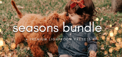 Filtergrade – THE SEASONS BUNDLE – Premium Photography Lightroom Presets