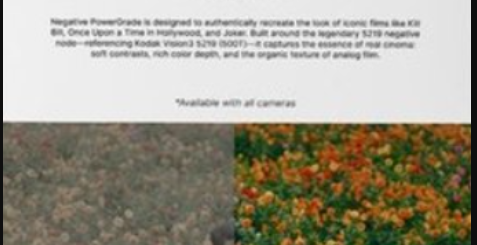 Loris Marie – Negative Powergrade for Davinci