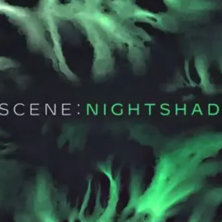 Native Instruments Scene Nightshade v1.1.1 KONTAKT