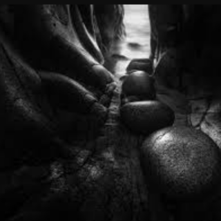 Nature Photographers Network – Alister Benn – It’s all about Luminosity & Contrast