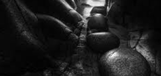 Nature Photographers Network – Alister Benn – It’s all about Luminosity & Contrast