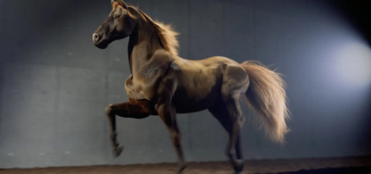 Rebelway – Creature Rigging in Houdini