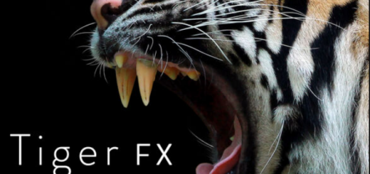 Sound Ideas Tiger FX