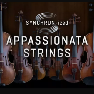 VSL Vienna Symphonic Library Studio Appassionata Strings for Synchron Player