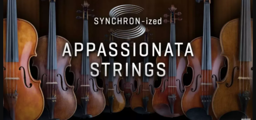 VSL Vienna Symphonic Library Studio Appassionata Strings for Synchron Player