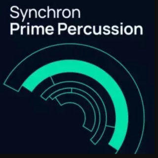 Vienna Symphonic Library - Synchron Prime Percussion (VSL Synchron Player)