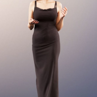 Woman In Evening Gown Talking And Gesturing 3D Model
