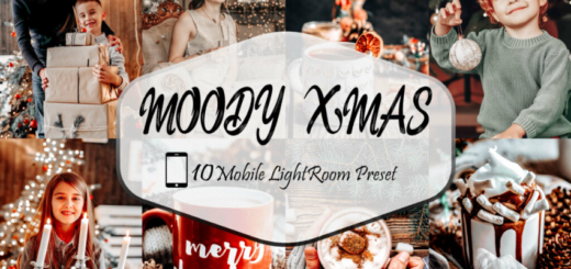 Filtergrade – Moody Xmas Lightroom Presets